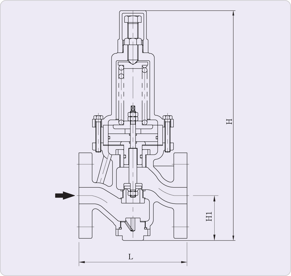 PRG-1F/2F image