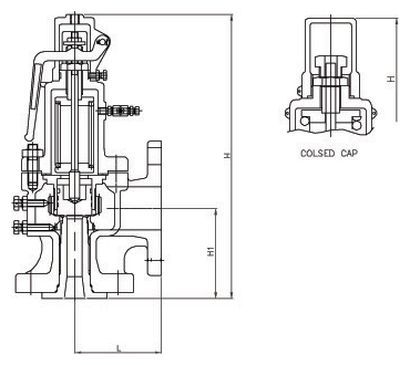 FSV-2F image