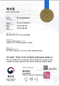 배압 상쇄구조를 가진 수소가스용 고압안전밸브